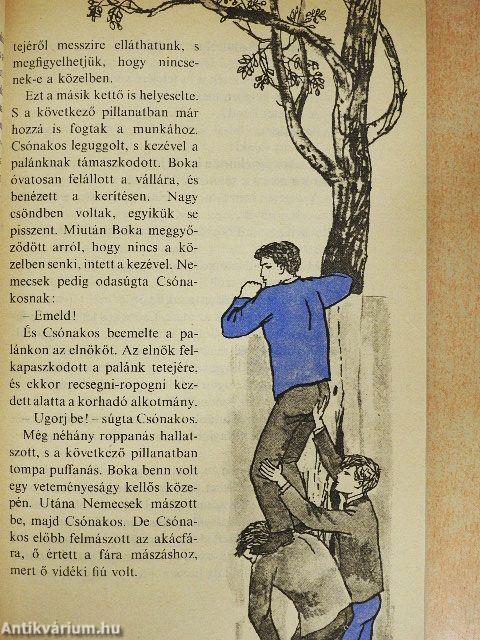 A Pál utcai fiúk
