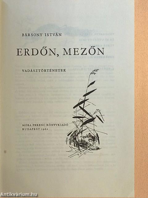 Erdőn, mezőn