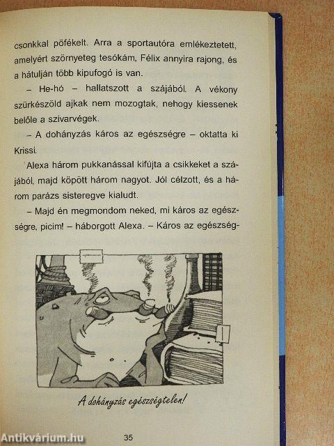 Segítség, hercegnő lettem