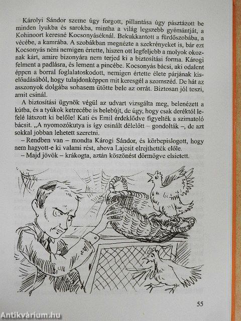 Gyerekrablás a Palánk utcában