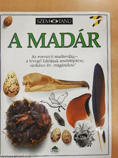 A madár