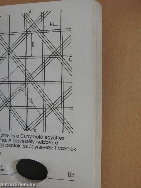 Az inga megmutatja