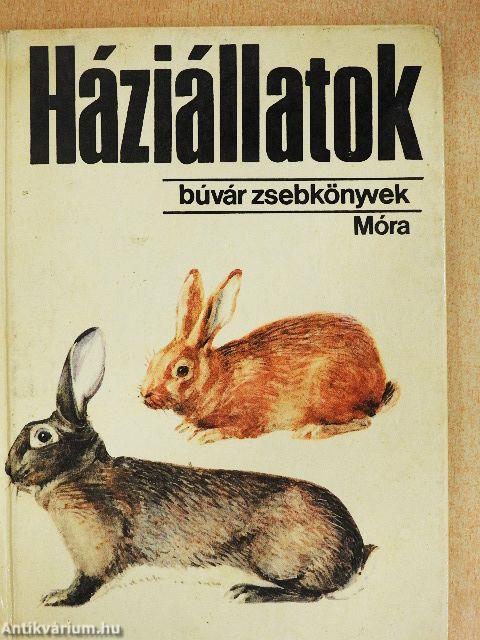 Háziállatok