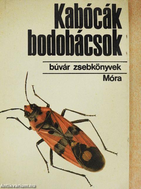 Kabócák, bodobácsok