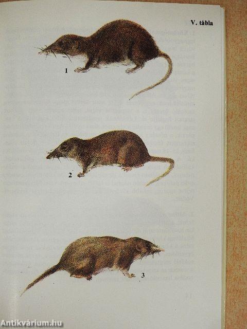 Kisemlősök