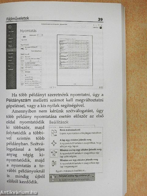 Microsoft Excel 2013 zsebkönyv