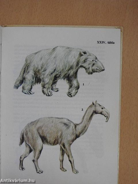 Ősállatok