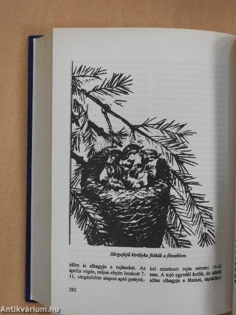 Madárlexikon