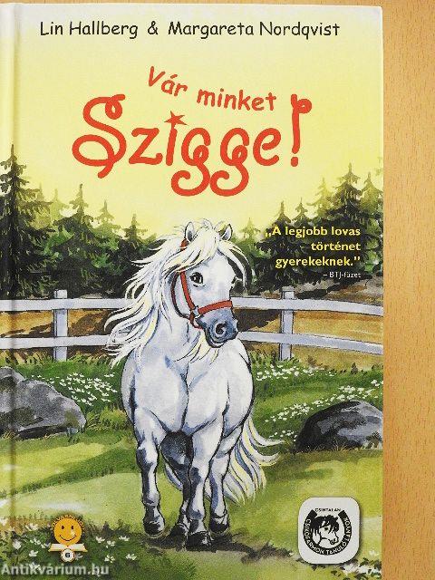 Vár minket Szigge!