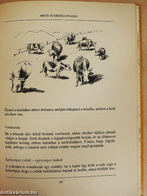 Útmutató Hold