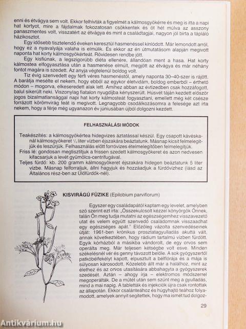Egészség Isten patikájából