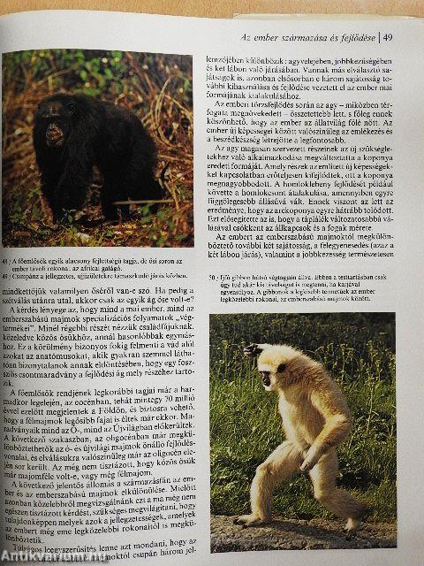 Az ember őstörténete