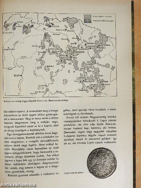 Két pogány közt