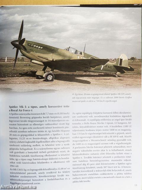 Az égbolt ragadozói