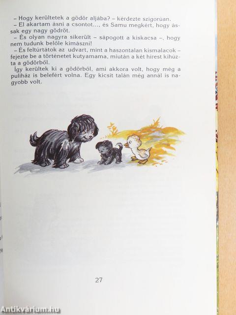 Madzag és cimborái
