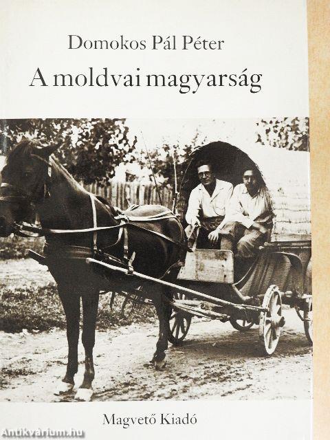 A moldvai magyarság