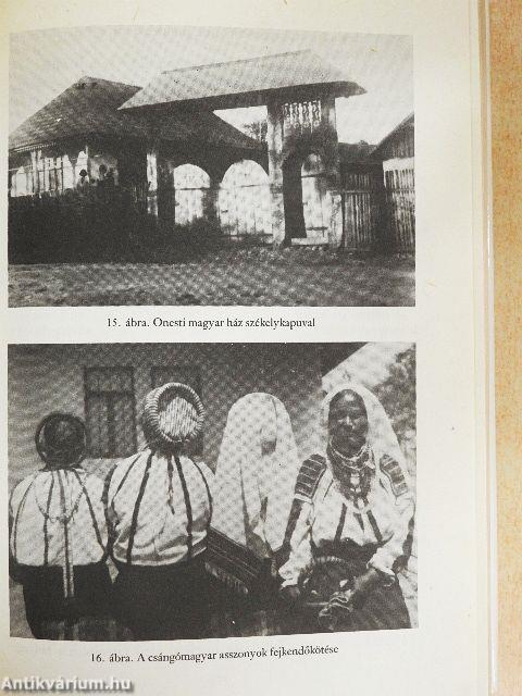 A moldvai magyarság