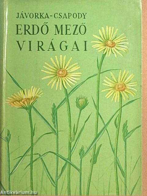 Erdő mező virágai