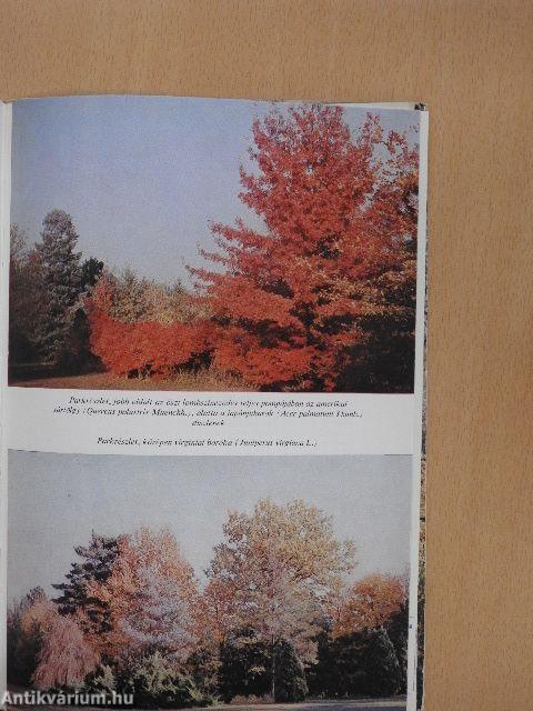 A szarvasi arborétum