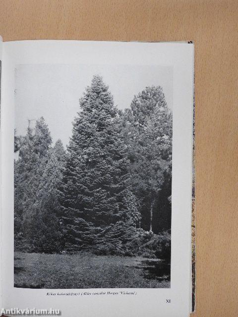 A szarvasi arborétum