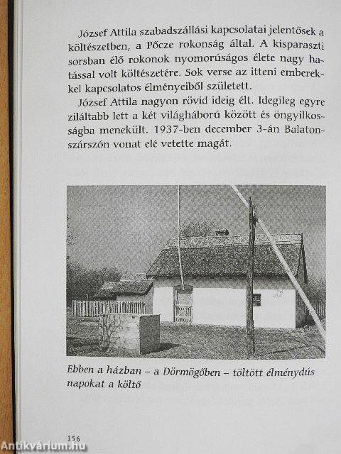 Húsz esztendőm hatalom