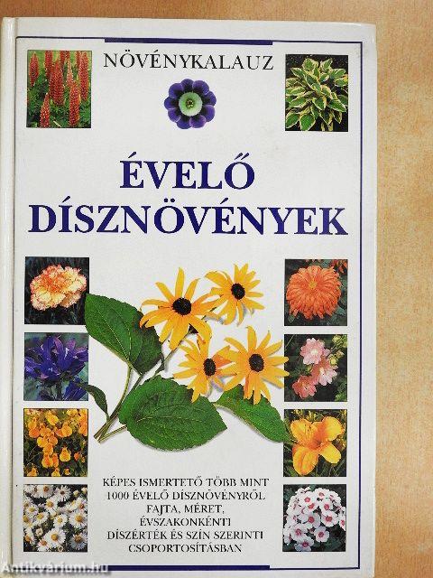 Évelő dísznövények