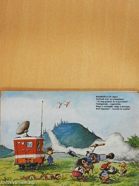 Erdei autóverseny