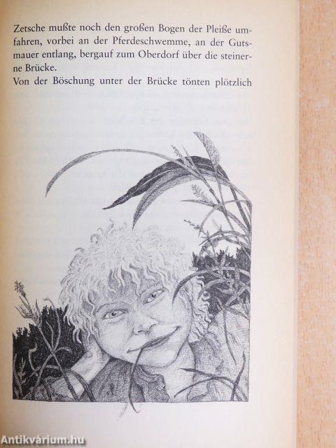 Sie nannten ihn Katze