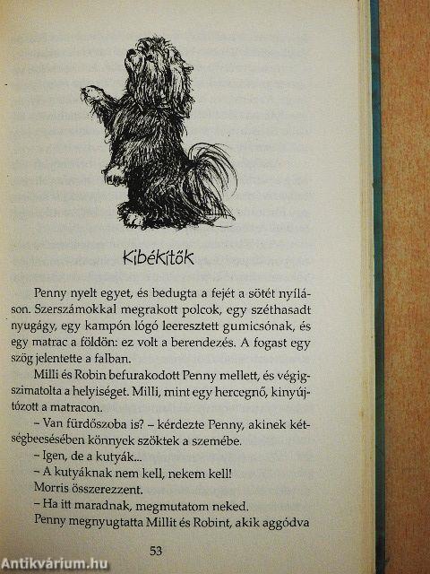 Szerelmes koalák