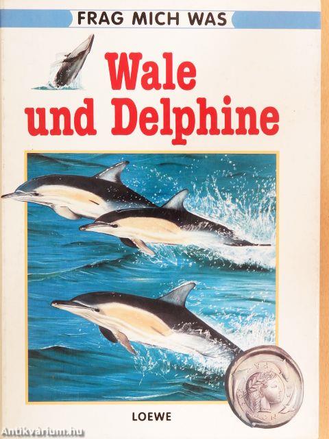 Wale und Delphine