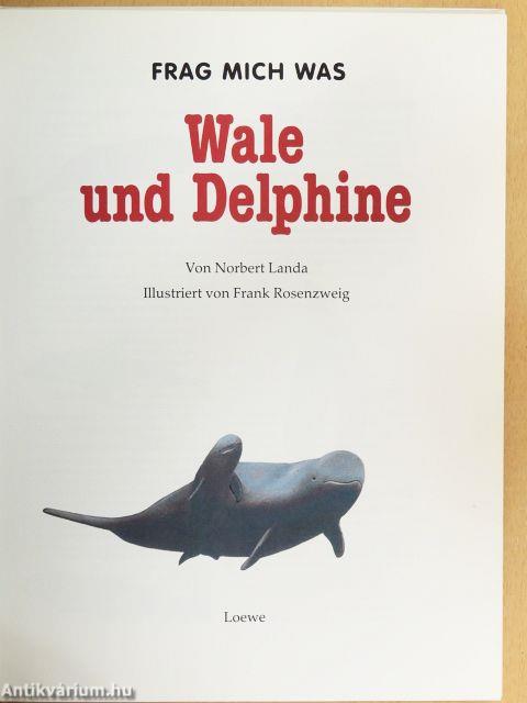Wale und Delphine
