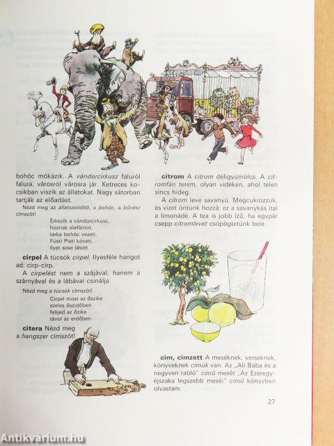 Ablak-Zsiráf