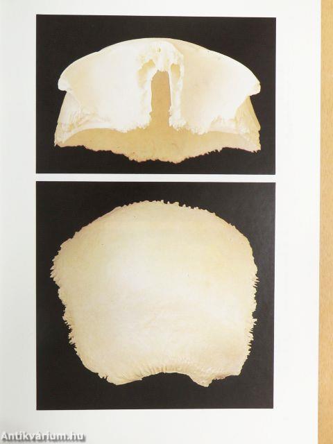 Anatomischer Atlas 1-2.