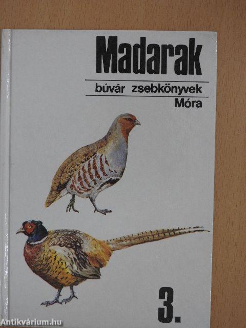 Madarak 3.