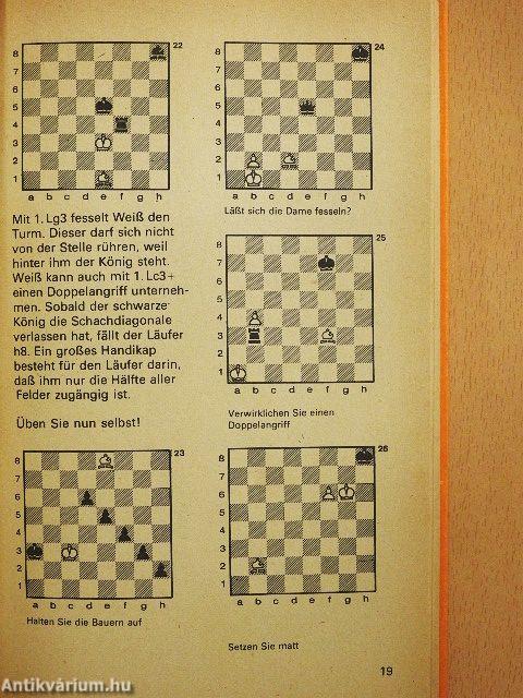 ABC des Schachspiels