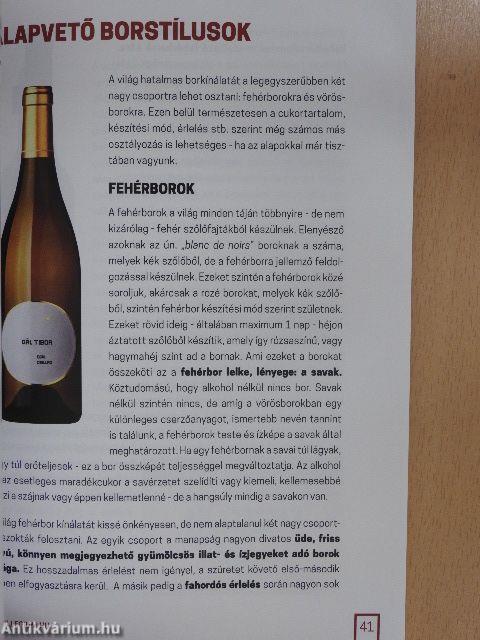 Bevezetés a borkóstolásba