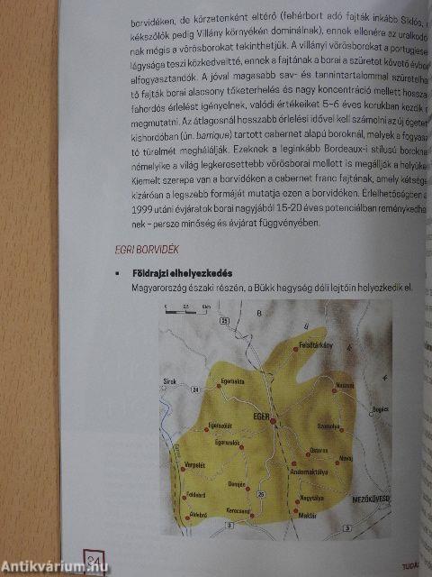 Bevezetés a borkóstolásba