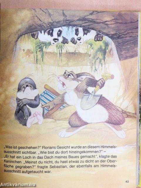 Meine Freunde im Walde