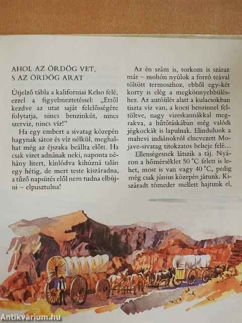 A gyalogkakukk sivatagja