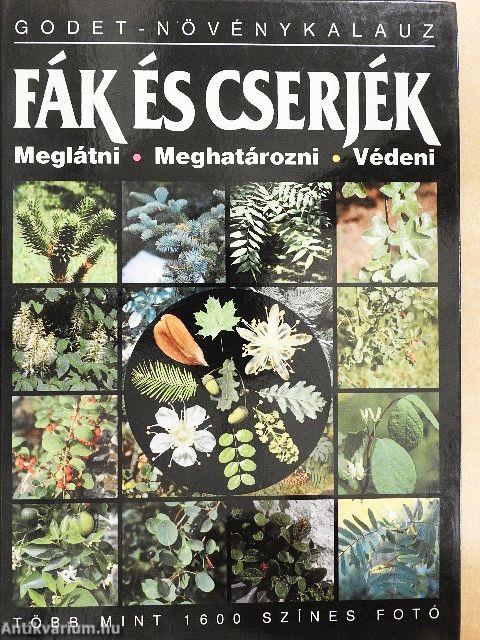 Fák és cserjék