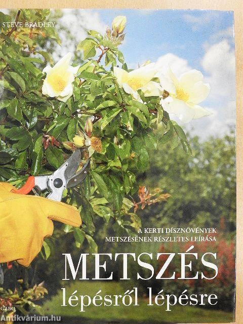 Metszés
