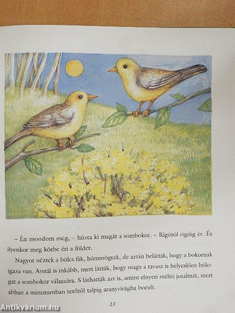 Meddig ér a rigófütty
