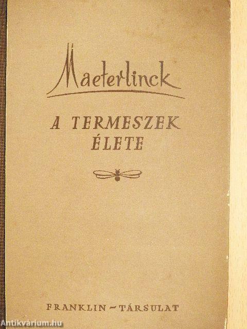 A termeszek élete
