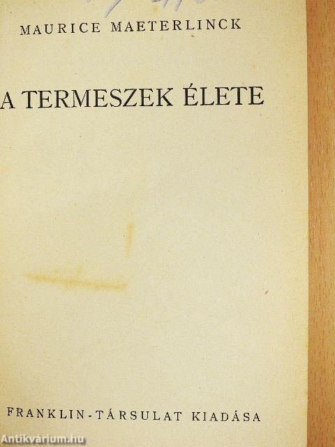 A termeszek élete