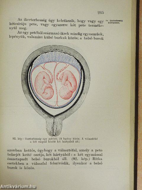 Magyar bábakönyv