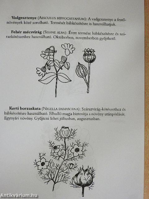 Terménybábok 1.