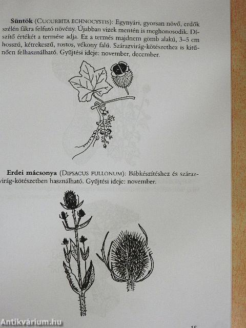 Terménybábok 1.