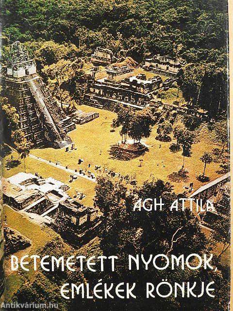 Betemetett nyomok, emlékek rönkje