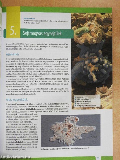 Biológia 10.