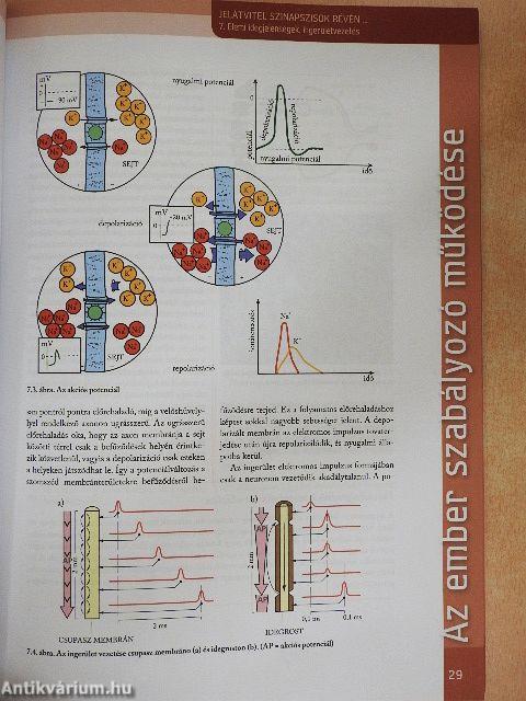 Biológia 12.